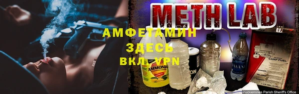 ГАЛЛЮЦИНОГЕННЫЕ ГРИБЫ Белокуриха