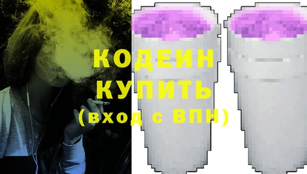 ГАЛЛЮЦИНОГЕННЫЕ ГРИБЫ Белокуриха