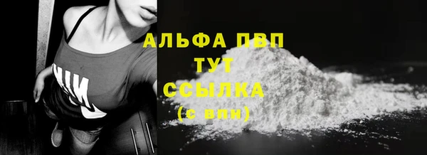 ГАЛЛЮЦИНОГЕННЫЕ ГРИБЫ Белокуриха