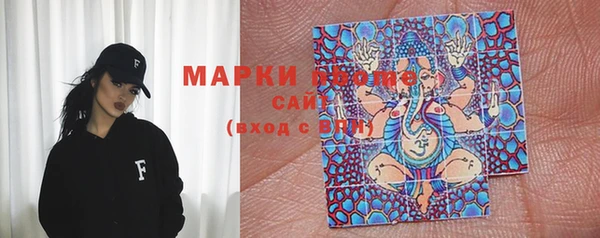 ГАЛЛЮЦИНОГЕННЫЕ ГРИБЫ Белокуриха