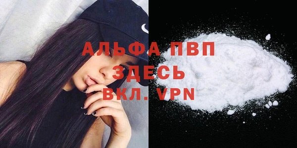 ГАЛЛЮЦИНОГЕННЫЕ ГРИБЫ Белокуриха