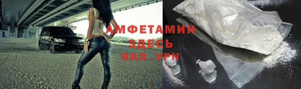 ГАЛЛЮЦИНОГЕННЫЕ ГРИБЫ Белокуриха