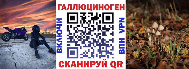 Галлюциногенные грибы Psilocybe  Облучье 